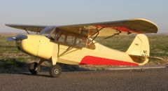 Dare Aeronca Champ 42"