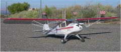 Dare Taylorcraft BC-12    (60" wingspan)