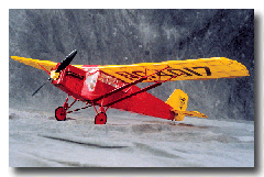 Curtiss_Robin