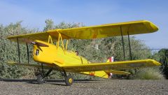 Tiger Moth