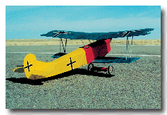 Fokker_DVII