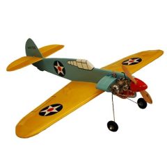 P40 Tiger Shark2