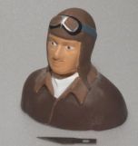 Pilot (Civilian or Military)