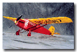 Curtiss_Robin